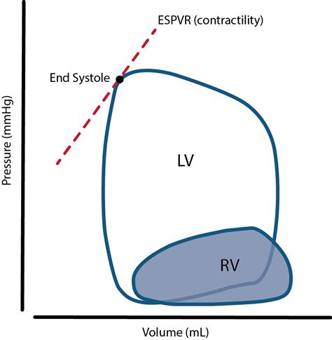 lv pressure volume loop|right ventricular pressure volume loop.